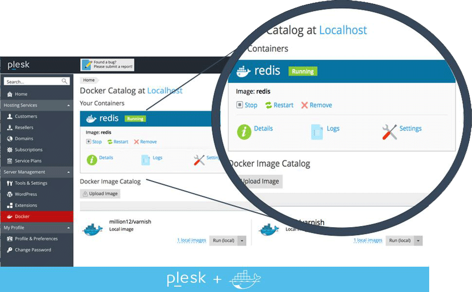 Plesk Docker Support